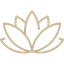 Lotus Icon
