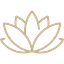 Consultation Icon